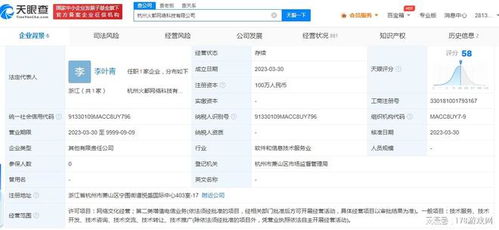 九玩网络投资成立新公司，深耕网络技术服务新纪元
